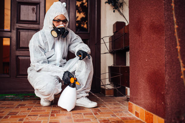 Reliable Bed Bug Control contractor in Stafford Courthouse, VA by Nex Pest Control