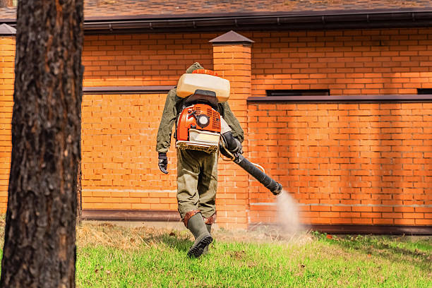Trusted Ant Control service in Stafford Courthouse, VA - Nex Pest Control